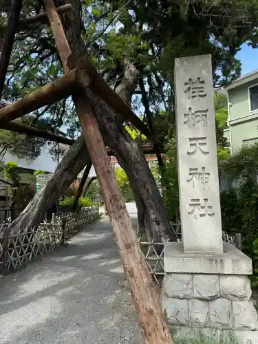 荏柄天神社の{uncategorized: "未分類", other: "その他", undefined: "問題あり", building: "その他建物", grave: "お墓", sacred_gate: "鳥居", guardian: "狛犬", statue: "像", buddha: "仏像", history: "歴史", nature: "自然", garden: "庭園", animal: "動物", pagoda: "塔", temizu: "手水舎", mountain_gate: "山門・神門", sanctuary: "本殿・本堂", subordinate: "末社・摂社", art: "芸術", scenery: "景色", jizo: "地蔵", ema: "絵馬", goshuin: "御朱印", omikuji: "おみくじ", items: "授与品その他", amulet: "お守り", goshuincho: "御朱印帳", eats: "食事", festival: "お祭り", votive_dance: "神楽", shichigosan: "七五三参", wedding: "結婚式", experience: "体験その他", initially: "初詣", around: "周辺", anti_infection: "感染症対策"}