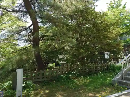 室蘭八幡宮(北海道)