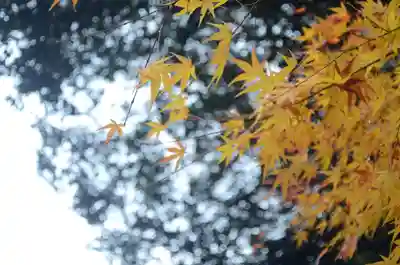 近江神宮(滋賀県)