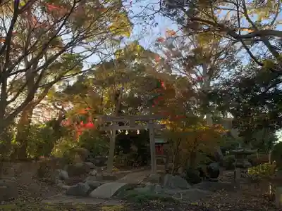 白幡八幡神社(千葉県)