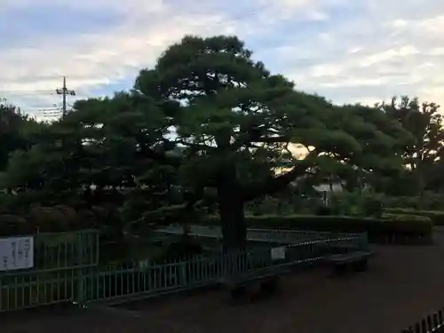 箭弓稲荷神社の庭園