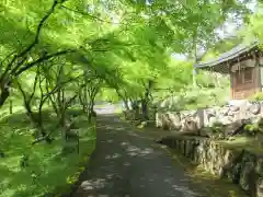 長安寺の建物その他