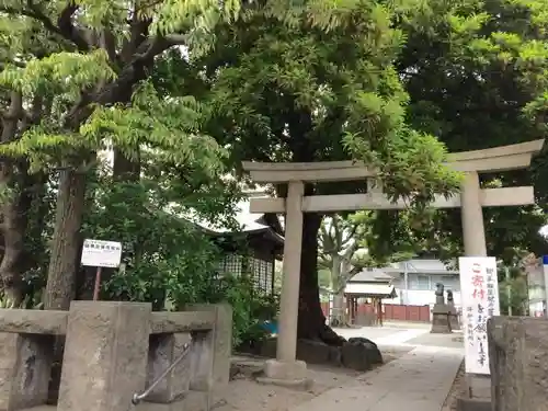 大鳥神社の鳥居