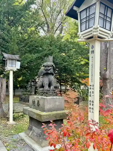 新琴似神社の狛犬