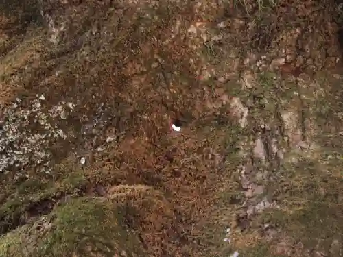 熊野皇大神社(長野県)