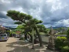 遍照寺(和歌山県)