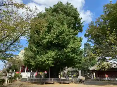 千葉寺(千葉県)