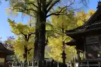 綾部八幡神社(佐賀県)