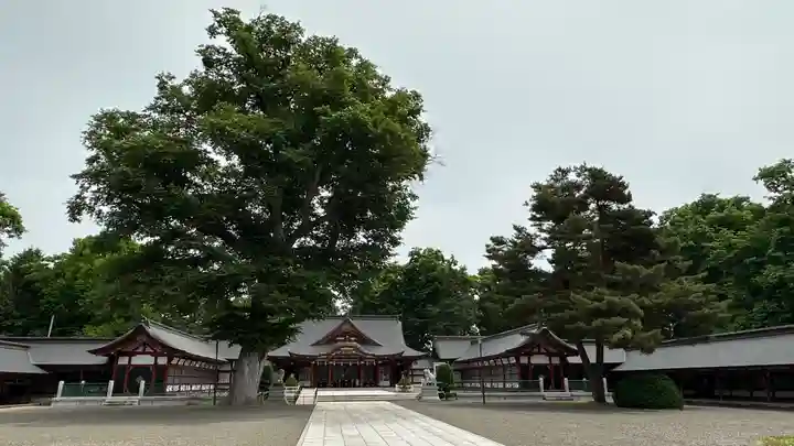 北海道護國神社のその他建物