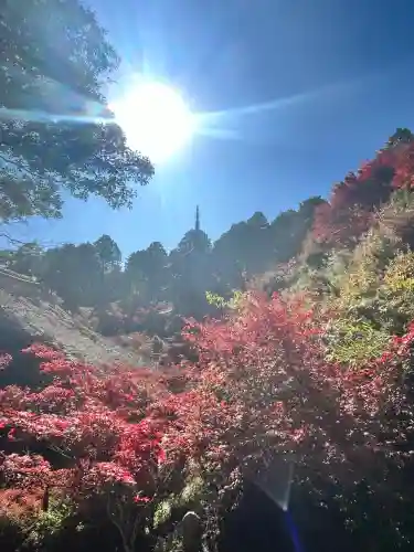 常樂寺(滋賀県)
