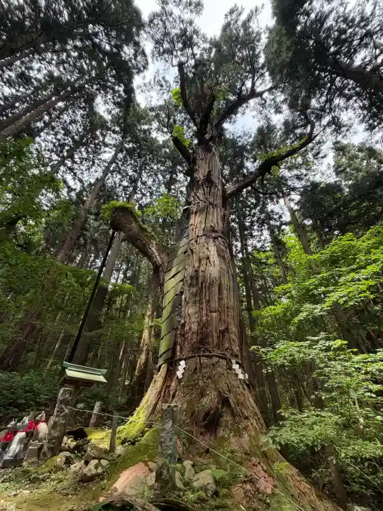 志和稲荷神社(岩手県)