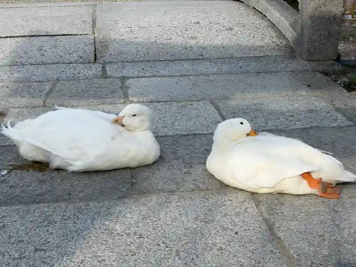 神泉苑(京都府)
