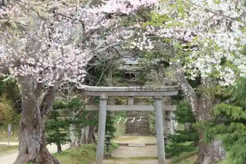 白幡八幡神社の鳥居