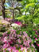 開成山大神宮(福島県)