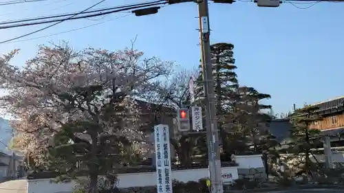 聖衆来迎寺(滋賀県)