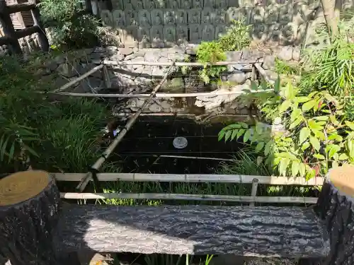 大圓寺の{uncategorized: "未分類", other: "その他", undefined: "問題あり", building: "その他建物", grave: "お墓", sacred_gate: "鳥居", guardian: "狛犬", statue: "像", buddha: "仏像", history: "歴史", nature: "自然", garden: "庭園", animal: "動物", pagoda: "塔", temizu: "手水舎", mountain_gate: "山門・神門", sanctuary: "本殿・本堂", subordinate: "末社・摂社", art: "芸術", scenery: "景色", jizo: "地蔵", ema: "絵馬", goshuin: "御朱印", omikuji: "おみくじ", items: "授与品その他", amulet: "お守り", goshuincho: "御朱印帳", eats: "食事", festival: "お祭り", votive_dance: "神楽", shichigosan: "七五三参", wedding: "結婚式", experience: "体験その他", initially: "初詣", around: "周辺", anti_infection: "感染症対策"}