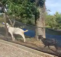 熊野那智神社(宮城県)