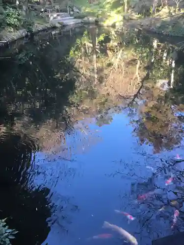 鶴岡八幡宮の庭園