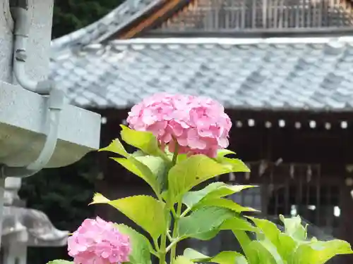 立志神社(滋賀県)