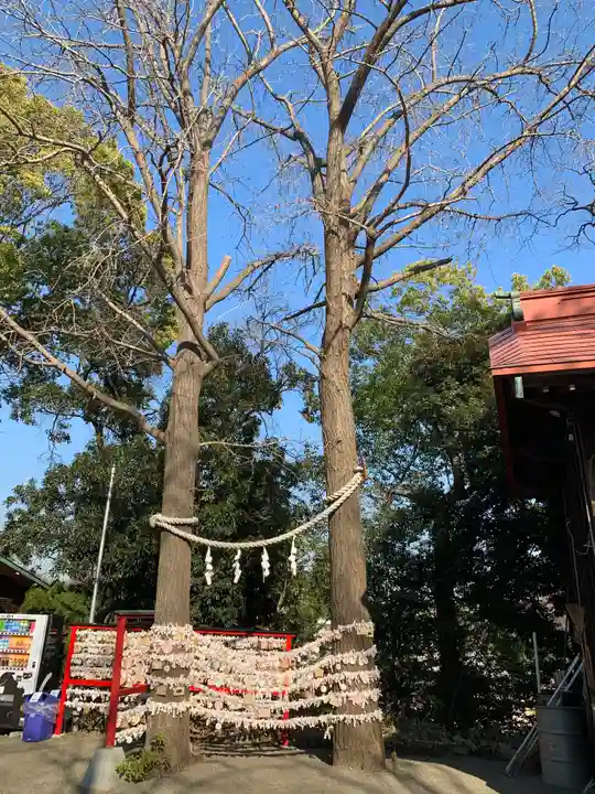 多摩川浅間神社の自然