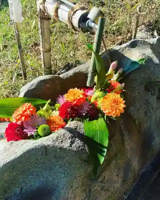 岡部春日神社～👹鬼門よけの🌺花咲く🌺やしろ～の手水舎