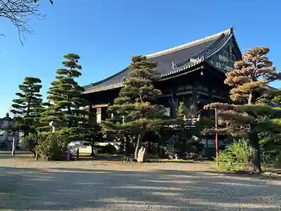常楽寺の本殿・本堂