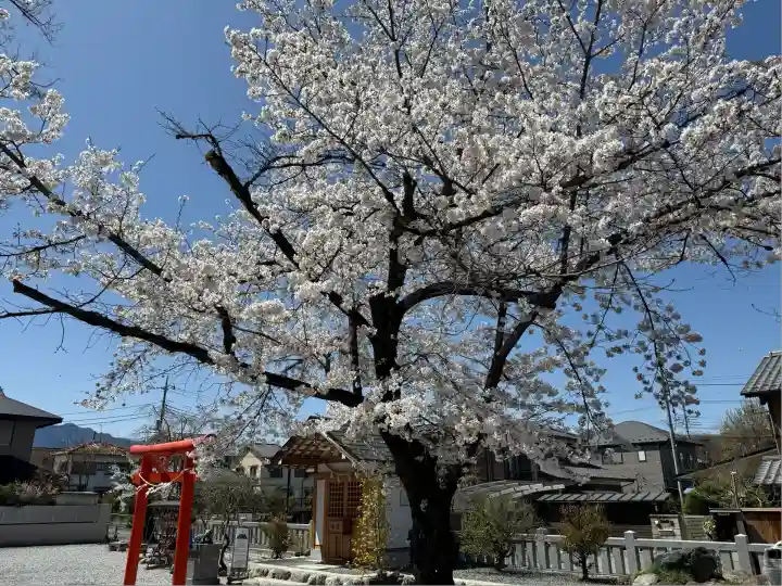 秩父今宮神社(埼玉県)