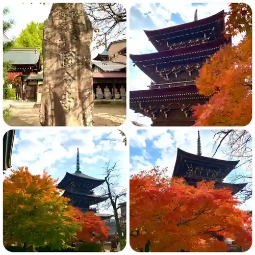 飛騨国分寺のその他建物