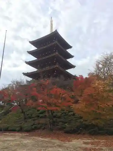 成相寺の塔