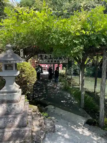 富士山本宮浅間大社(静岡県)