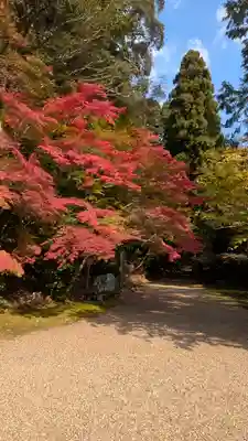 地藏院(京都府)