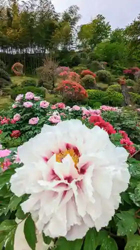 金蛇水神社の自然