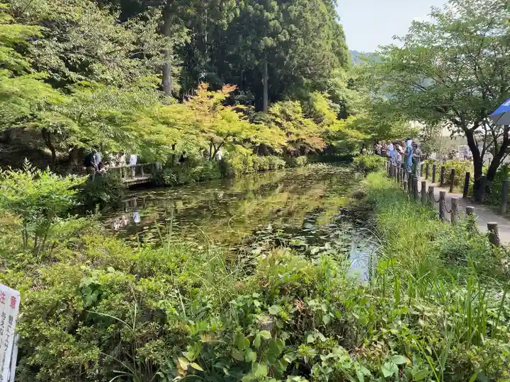 根道神社(岐阜県)