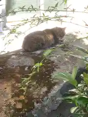 三輪神社の動物