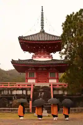 大覚寺(京都府)