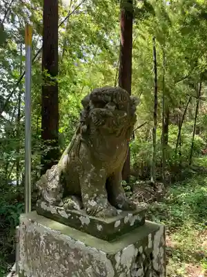 瀧口神社の狛犬