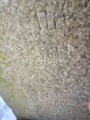 共栄稲荷神社(北海道)