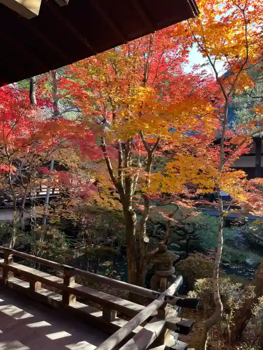 禅林寺(永観堂)(京都府)