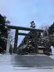 北海道神宮の鳥居