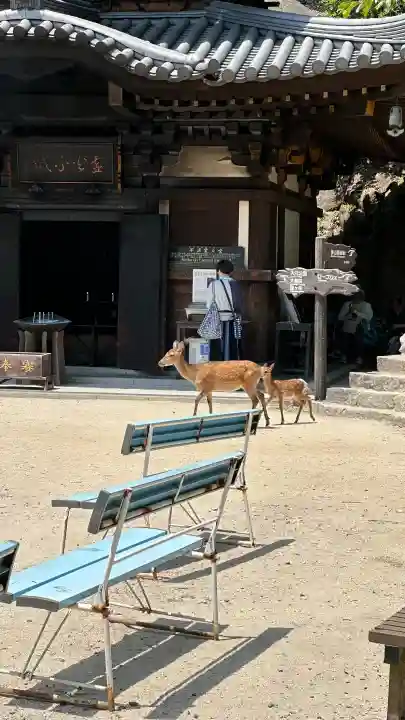 霊火堂の{uncategorized: "未分類", other: "その他", undefined: "問題あり", building: "その他建物", grave: "お墓", sacred_gate: "鳥居", guardian: "狛犬", statue: "像", buddha: "仏像", history: "歴史", nature: "自然", garden: "庭園", animal: "動物", pagoda: "塔", temizu: "手水舎", mountain_gate: "山門・神門", sanctuary: "本殿・本堂", subordinate: "末社・摂社", art: "芸術", scenery: "景色", jizo: "地蔵", ema: "絵馬", goshuin: "御朱印", omikuji: "おみくじ", items: "授与品その他", amulet: "お守り", goshuincho: "御朱印帳", eats: "食事", festival: "お祭り", votive_dance: "神楽", shichigosan: "七五三参", wedding: "結婚式", experience: "体験その他", initially: "初詣", around: "周辺", anti_infection: "感染症対策"}
