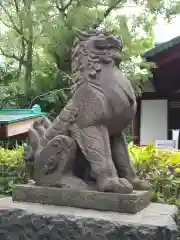 稲毛神社の狛犬