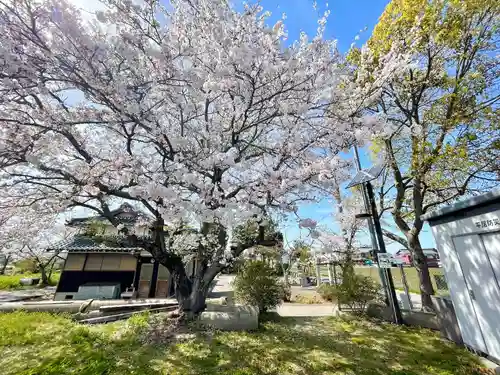 八幡神社(滋賀県)
