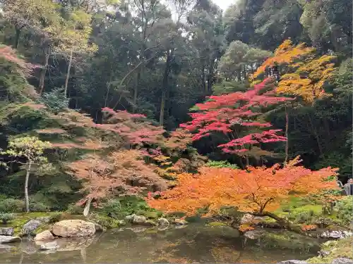 南禅院(京都府)