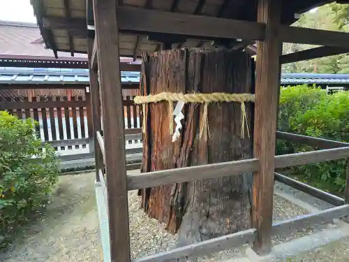 城南宮(京都府)