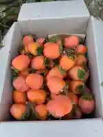 津島神社の周辺