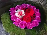 菅生神社の手水舎