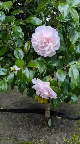 城南宮(京都府)