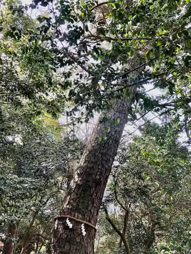 第六天神社(神奈川県)