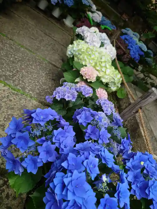 勝林寺(京都府)