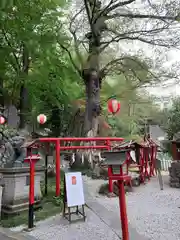 山名八幡宮の建物その他